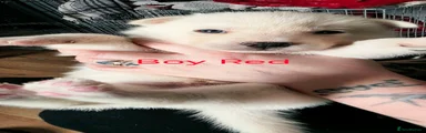 Boy Red
