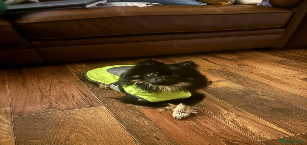 Gallery Image {{count}}