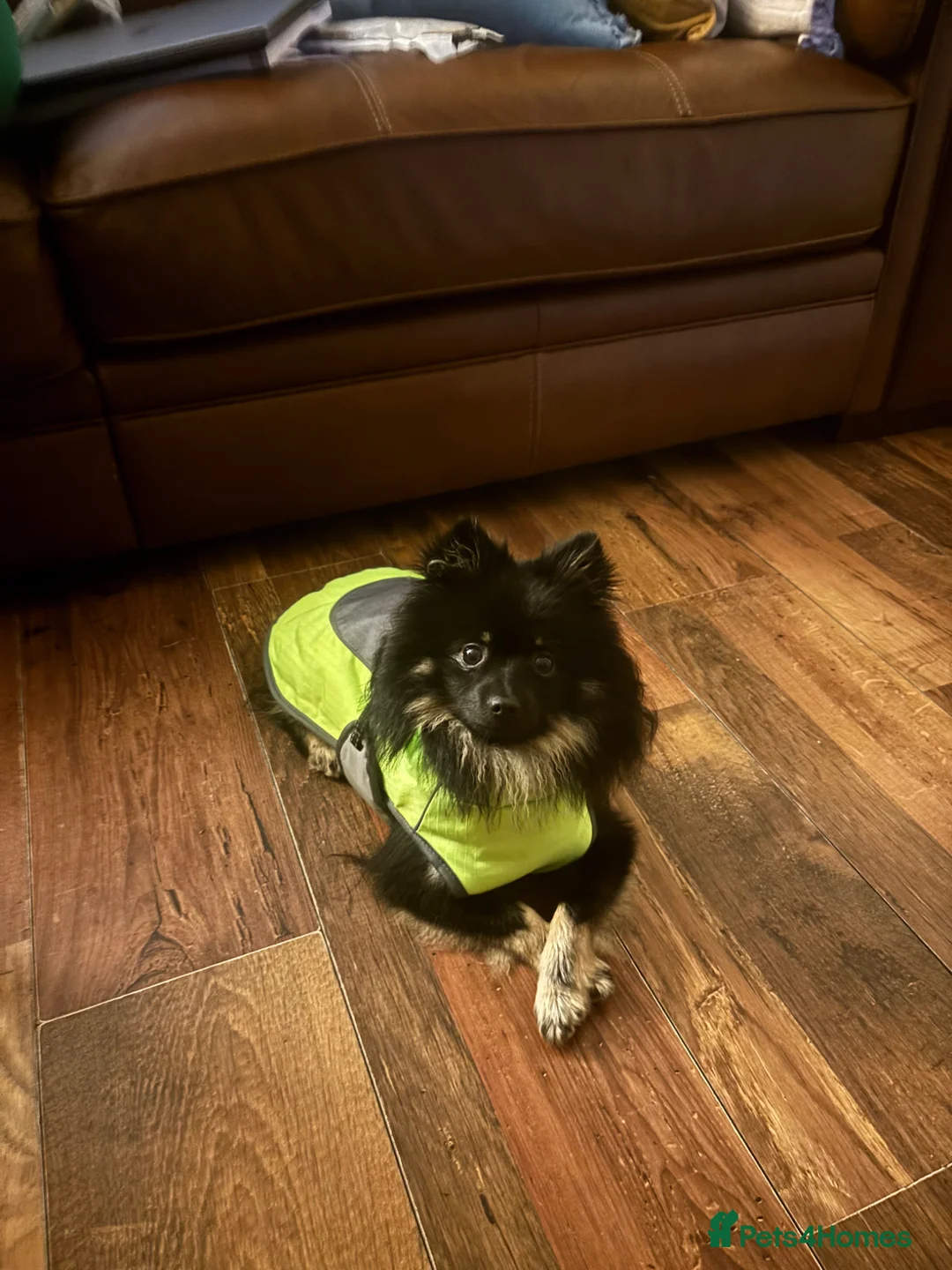 Gallery Image {{count}}