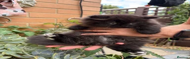 Max 
