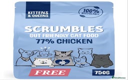 British Shorthair cats for sale: Stunning British Short ready for forever home - Advert 13