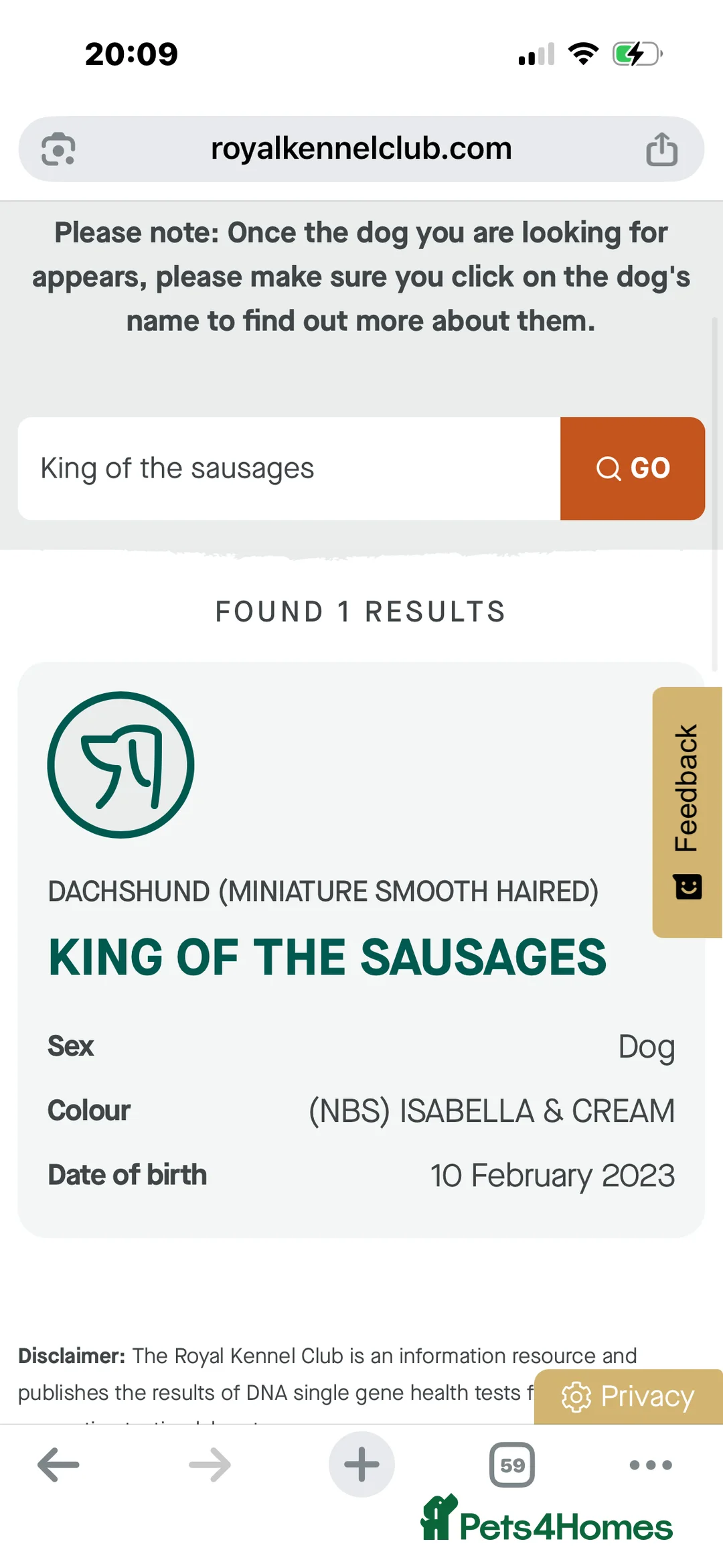 Miniature Dachshund dogs for stud: KING OF THE SAUSAGES  - Advert 3