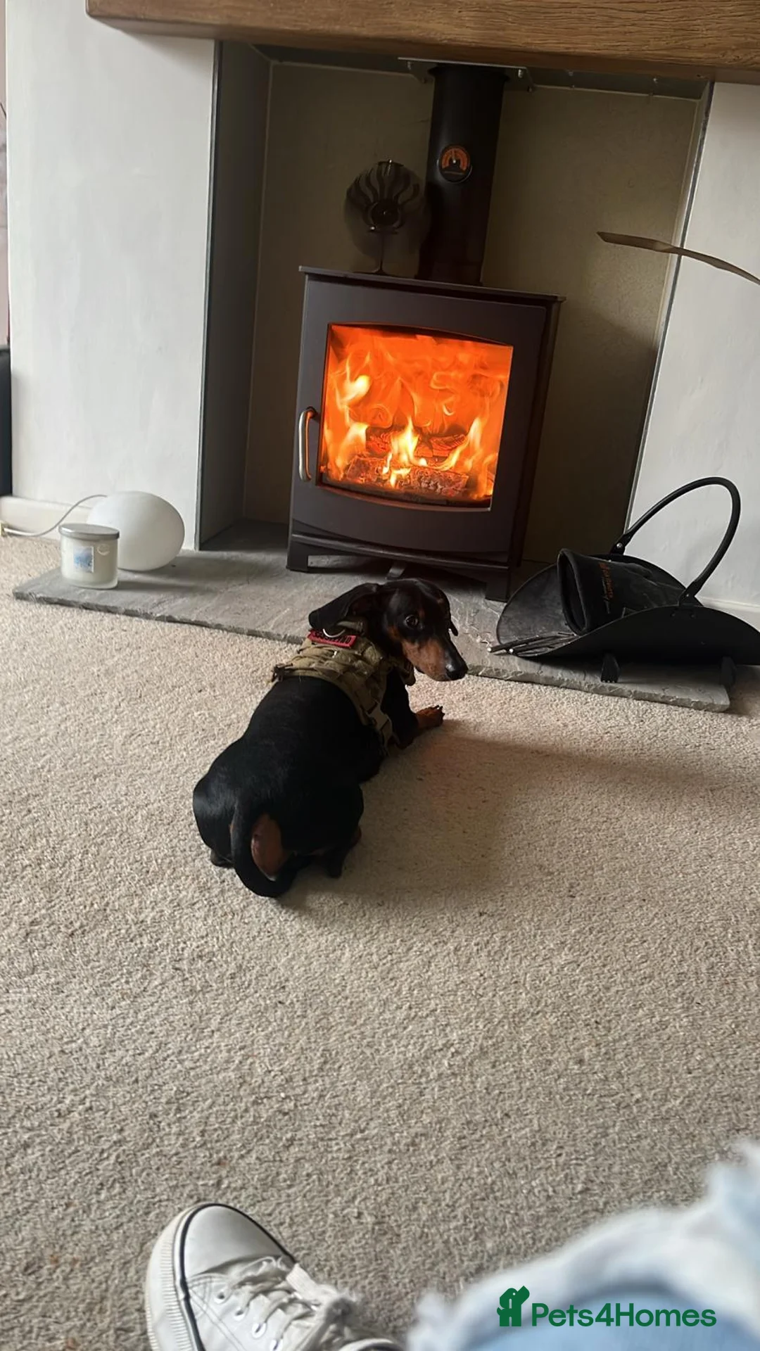 Gallery Image {{count}}