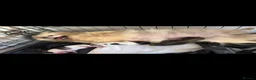 Pomeranian dogs for sale: Beautiful poom - Advert 2