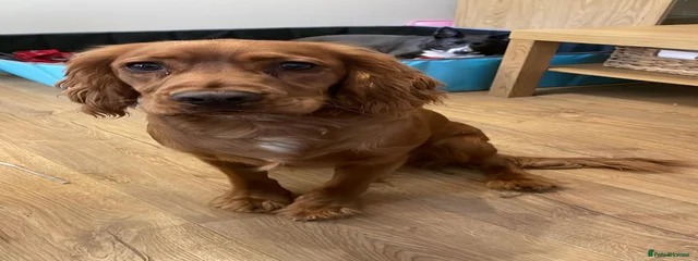 Digby 15/07/2025
