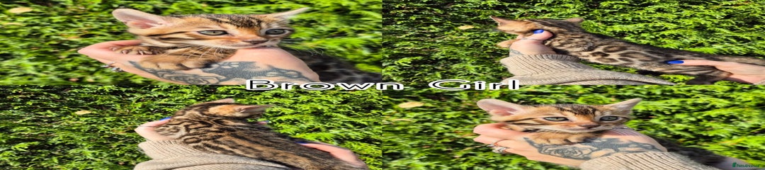 Brown Girl