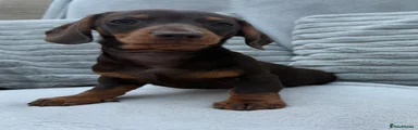 AERO