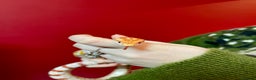Corn Snake reptiles for sale: Beautiful two year old corn snake for sale  - Advert 2