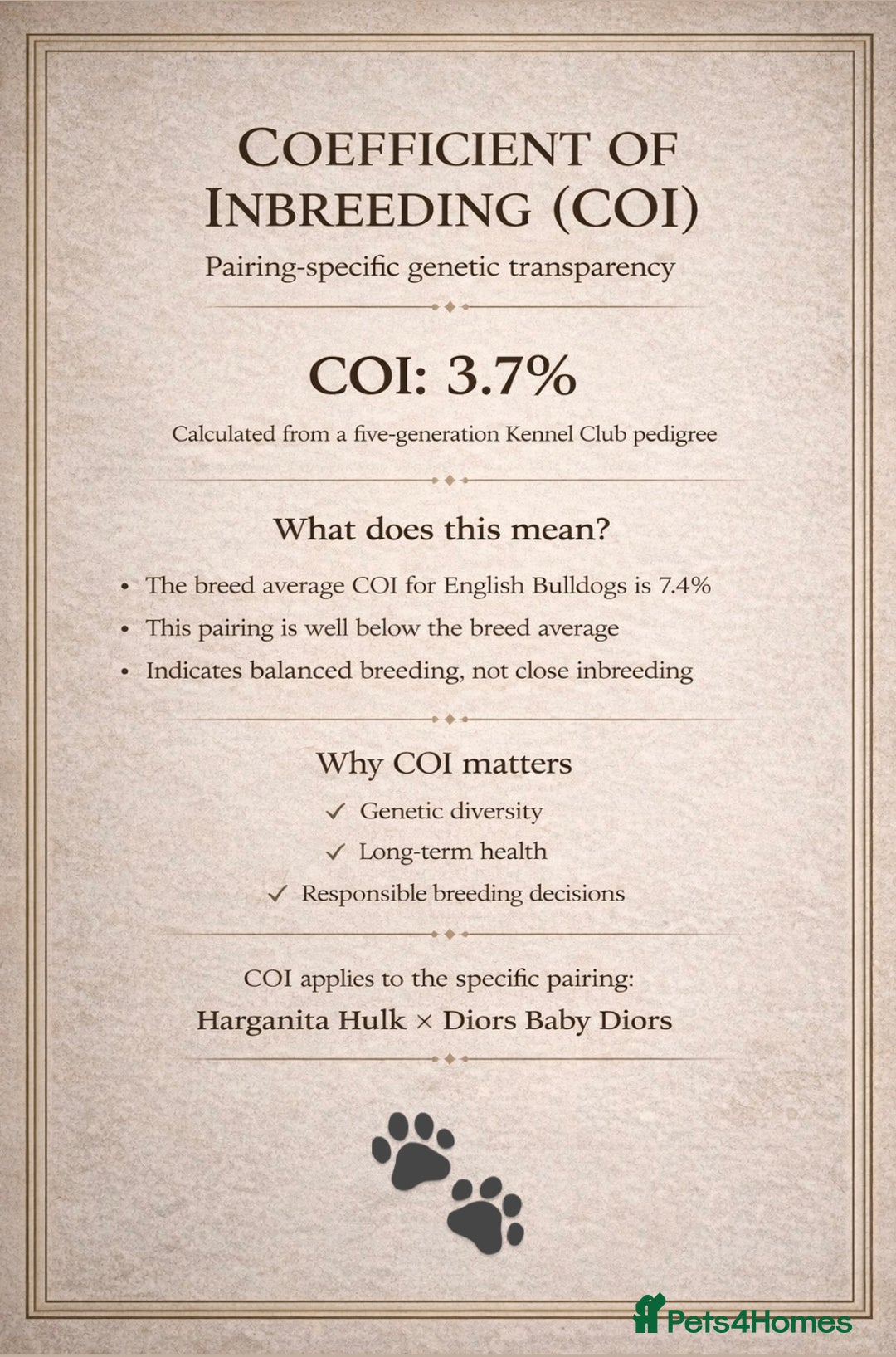 English Bulldog dogs for sale: Elite KC Registered English Bulldog Puppies - Advert 17