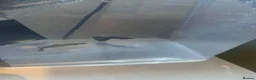 Live Bearers fish for sale: Pure strain baby purple moscow  in Altrincham - Advert 3