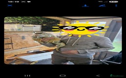 Iguana reptiles for sale: 10yr old male green iguana - Image 2