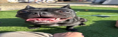 Frug 2 - Peppa