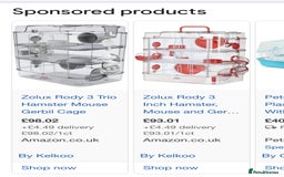 Hamster rodents for sale: Russian Syrian Dwarf Hamster  - Image 2