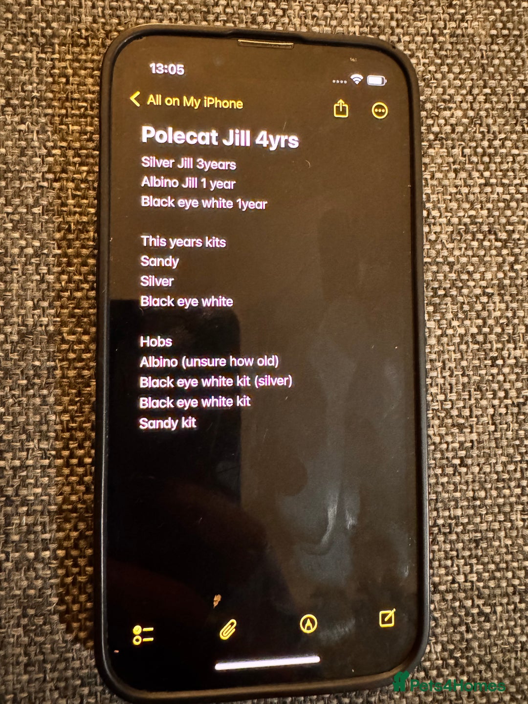 Ferret rodents for sale: 10 ferrets for rehome  - Advert 4