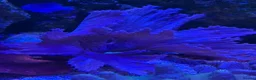 Other/Mixed Breed fish for sale: Marine  set tank shut down  - Advert 13
