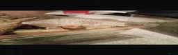 Gecko reptiles for sale: Baby crested gecko’s in Wolverhampton - Advert 5