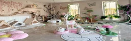 Ragdoll cats for sale: Stunning Champion bloodline TICA Ragdoll kittens - Advert 27