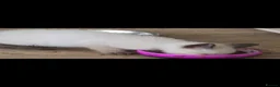 Snowshoe cats for sale: Rare TICA registered Snowshoe kittens - Advert 15
