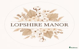 Mini Lop rabbits for sale: Lopshire manor country buns  - Image 1