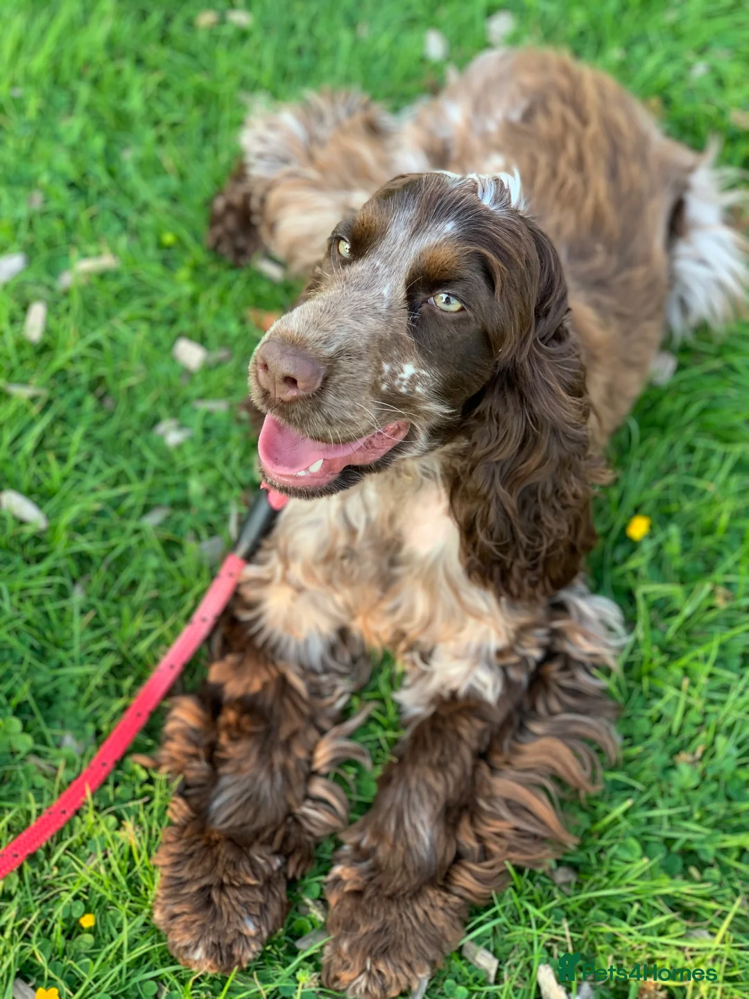 Gallery Image {{count}}