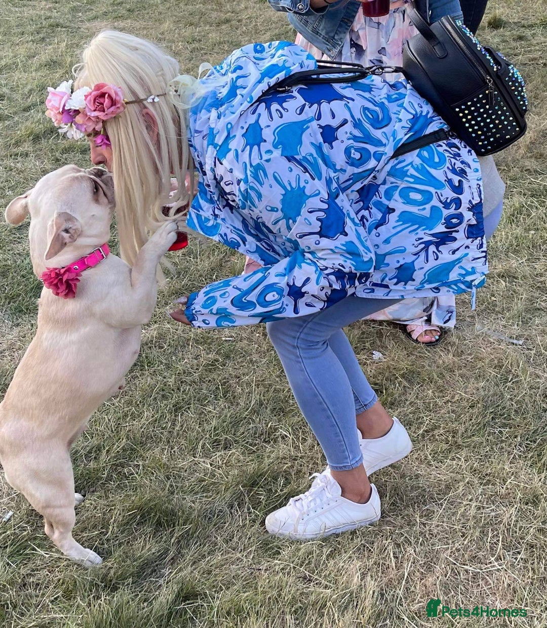 French Bulldog dogs for sale: Cream/ platinum French Bulldog puppy , ready now❤️ - Advert 23