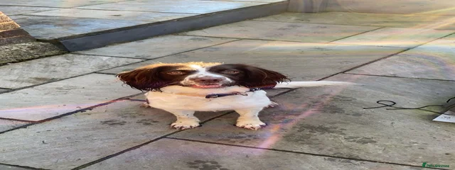 15/09/2022