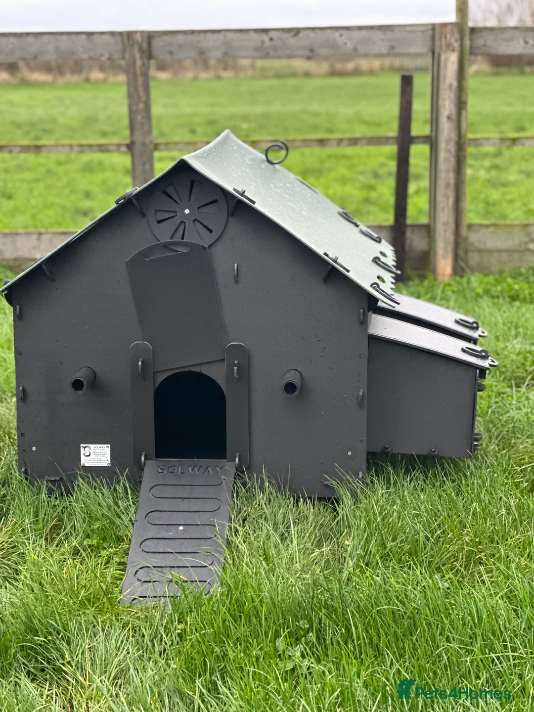 Mixed Breed poultry for sale: Smart Hen House - Recycled - 10/12 Hens - Advert 6