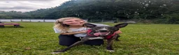 Lurcher dogs for adoption: Splash - Advert 2
