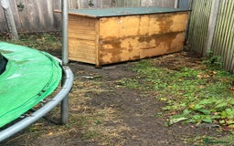 German Lop rabbits for sale: Two rabbits male and female  - Image 4