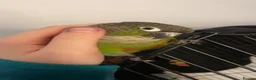 Conures birds for sale: beautiful 18 month old green cheek conure in Newport - Advert 8