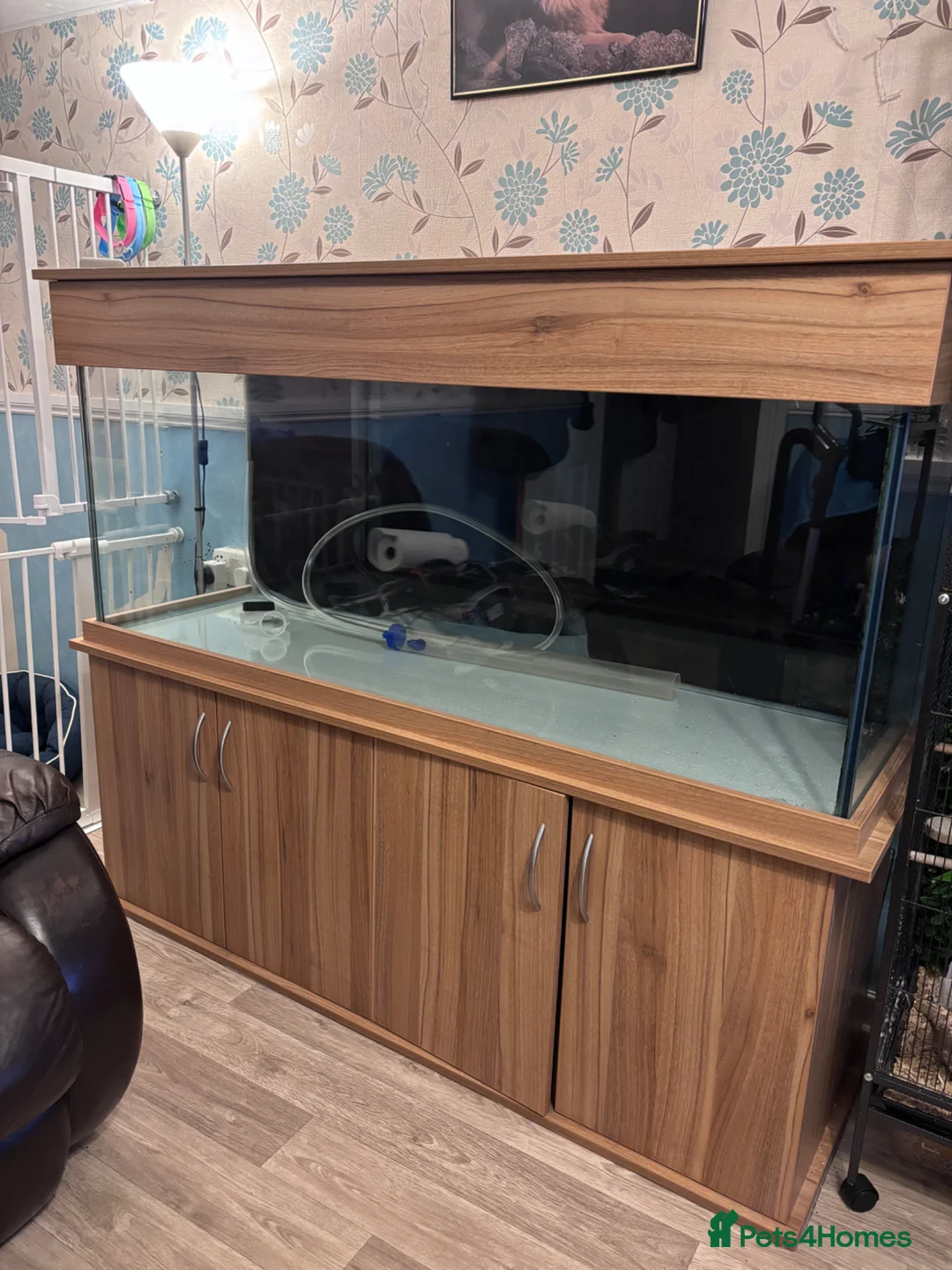 Other/Mixed Breed fish for sale: Seashell elite 5ft aquarium fish tank set up  in Abergele - Advert 1