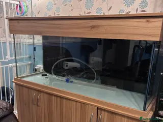 Other/Mixed Breed fish Seashell elite 5ft aquarium fish tank set up - Advert 1