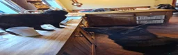 German Shepherd dogs for sale: Kc reg working line German shepherd pups in Barnsley - Advert 36