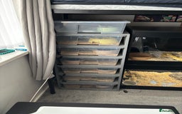 Python Snake reptiles for sale: 7 BALL PYTHONS AND STACK - Image 1