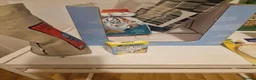 Cockatiels birds for sale: Whiteface cute cocktail  in London - Advert 4