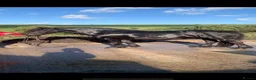 Fell horses for sale: Registered Fell Linnel Brackenbank Greenholme line in Rochdale - Advert 1