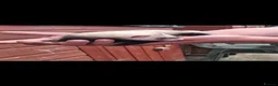 Ferret rodents for sale: Ferret kits in Doncaster - Advert 3