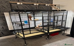 Parrots birds for sale: Large Parrot Cage - Image 7