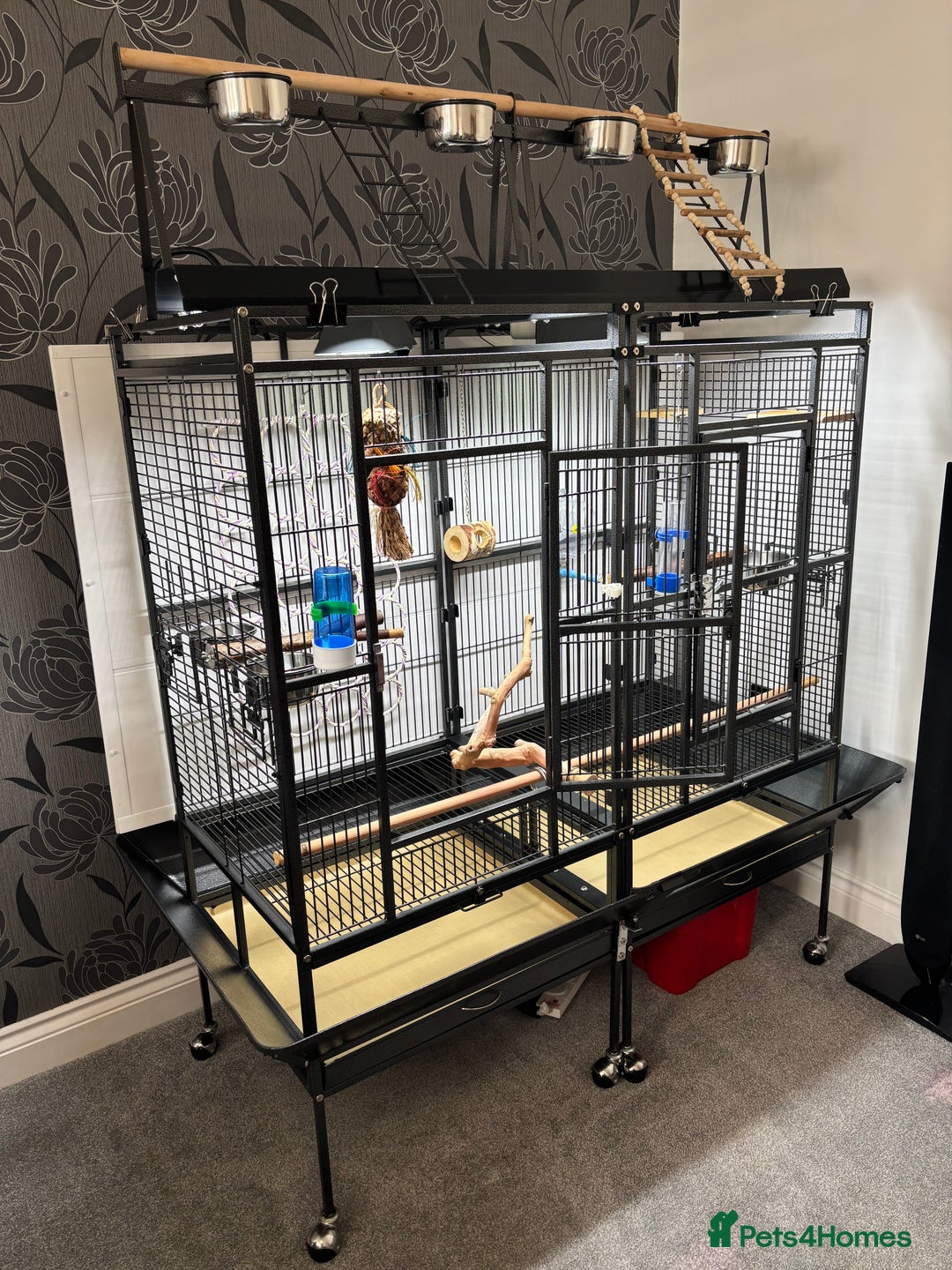 Parrots birds for sale: Large Parrot Cage - Image 7