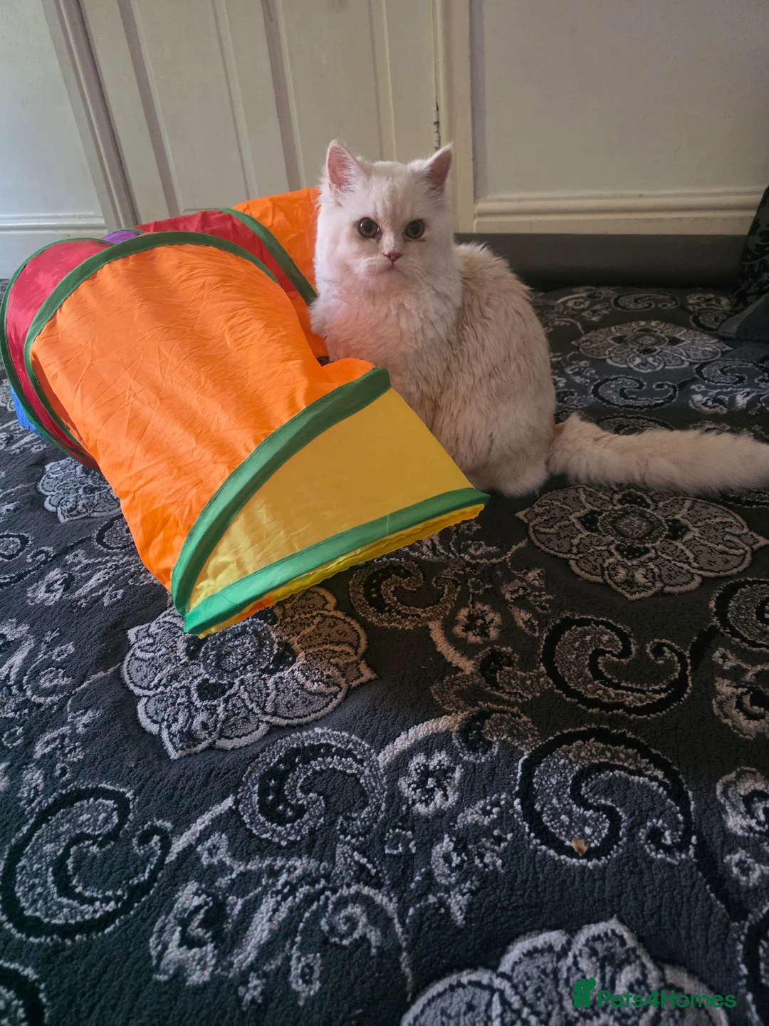 Gallery Image {{count}}