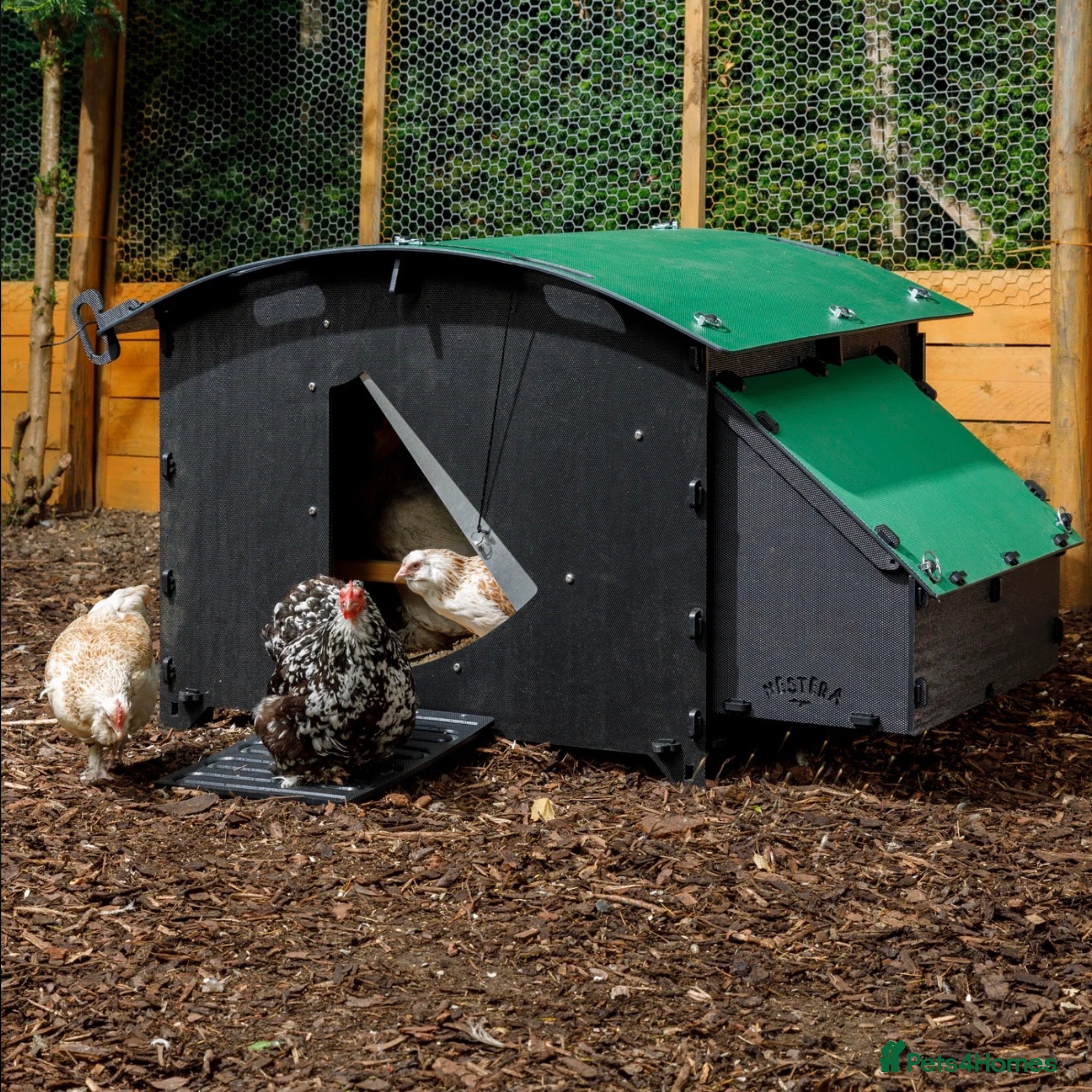Mixed Breed poultry Chicken Coop House Large - Recycled - 8/15 Hens - Advert 1