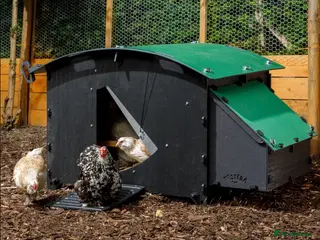 Mixed Breed poultry Chicken Coop House Large - Recycled - 8/15 Hens - Advert 1