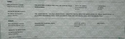 Labrador Retriever dogs for stud: Black Labrador Gun dog STUD- FernSpring River.  - Advert 5