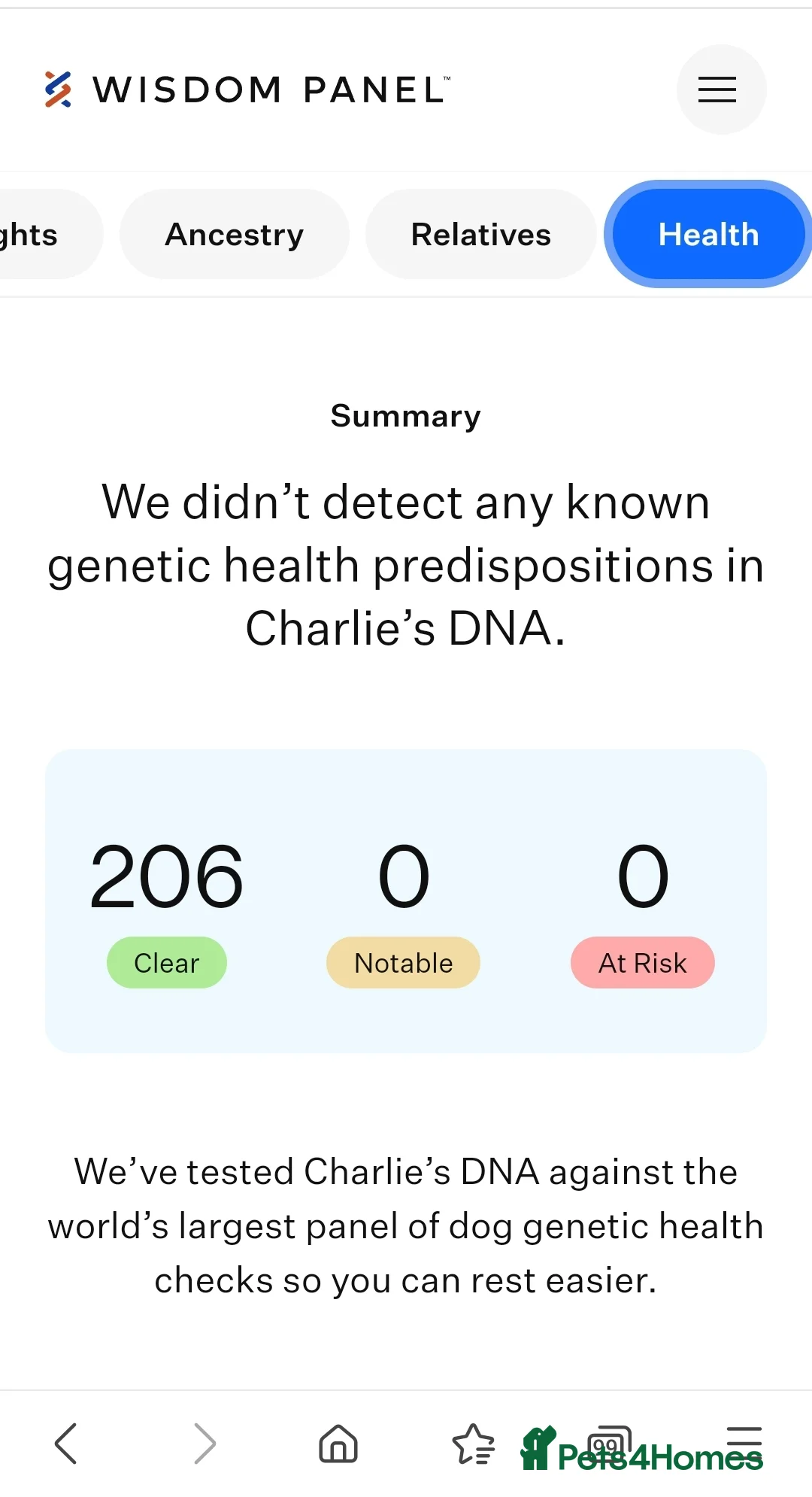 Cockapoo dogs for stud: Proven DNA tested red F1 Cockapoo Charlie for Stud in Milton Keynes - Advert 13