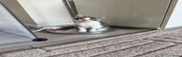 Mixed Breed cats for sale: Beautiful kittens looking for their forever home in Tadworth - Advert 4