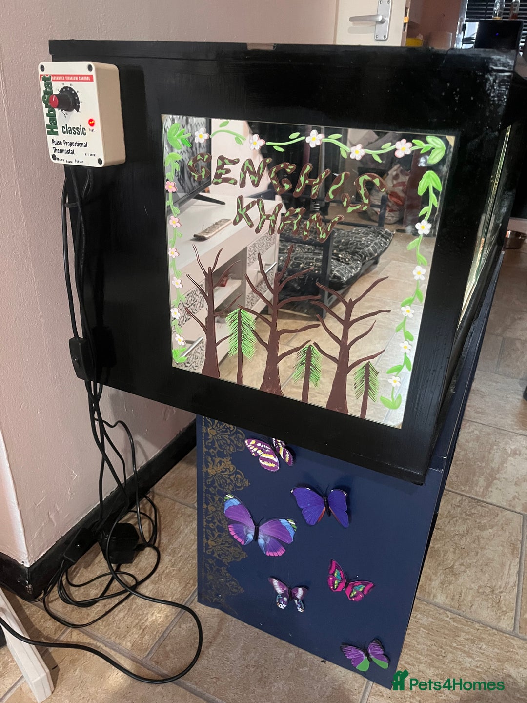 Python Snake reptiles for sale: Very sweet ball python and tank and unit  - Advert 20