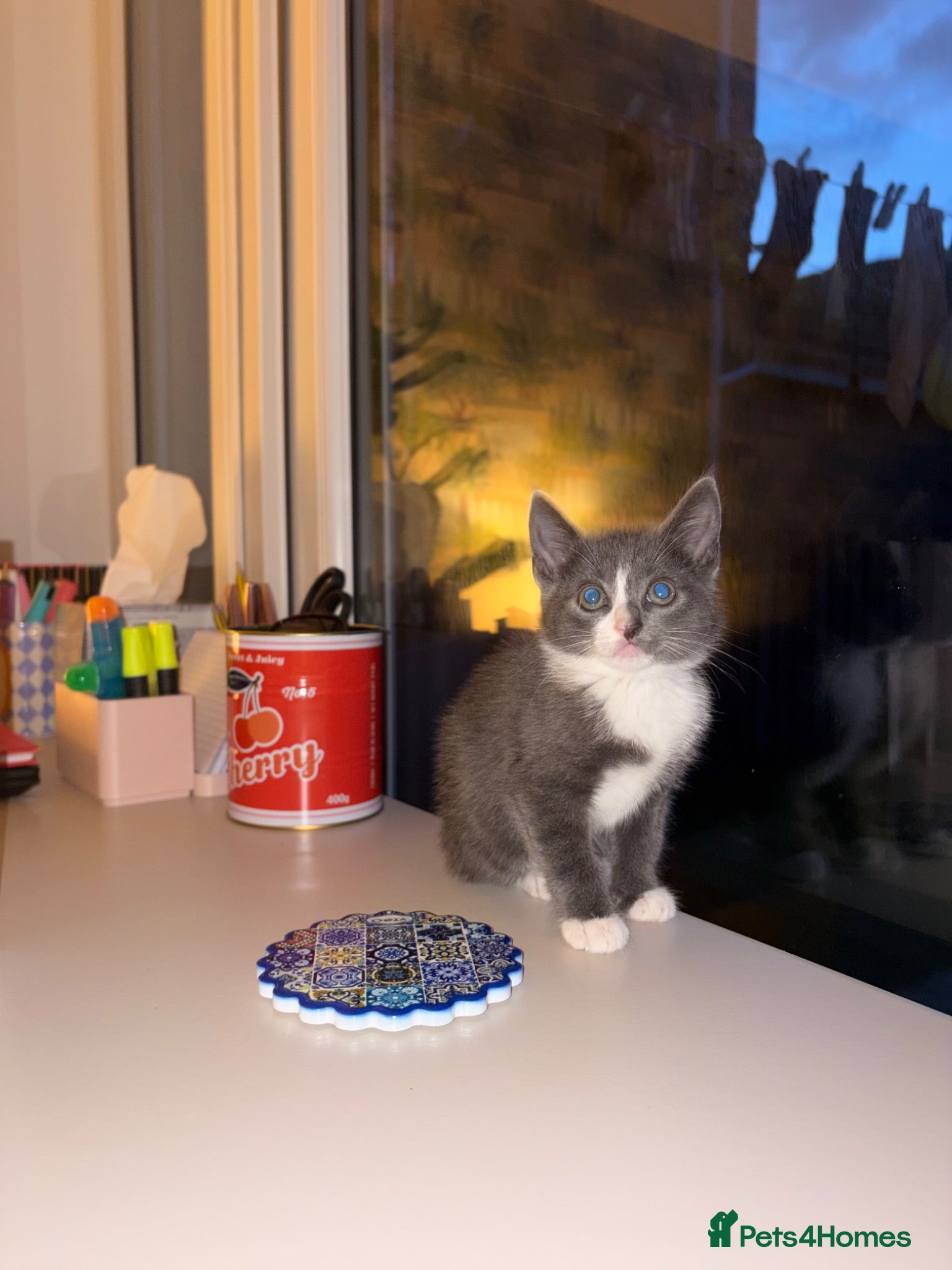 Mixed Breed cats Just 3 gorgeous kittens left (as of 04/07) - Advert 1