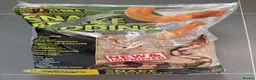 Corn Snake reptiles for sale: Female Corn Snake  in Epsom - Advert 3