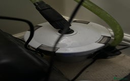 Axolotl reptiles for sale: Full Axolotl set up - see description  - Image 6