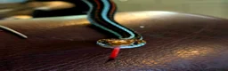 Garter Snake reptiles for sale: San Francisco Garter Snake for sale - Advert 7